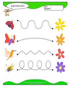 Çizgi Çalışma Sayfaları